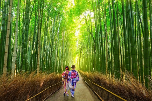8 DAY LUXURY JAPAN HONEYMOON PACKAGE